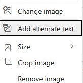 Outlook menu with the option Add alternate text selected