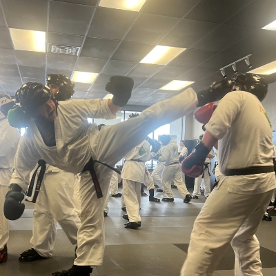 Image of martial arts bout