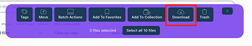 Dowload mulitple Screenshot of the download multiple button