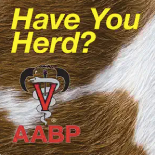 Have you Herd? title AABP organization logo text on top of two-toned cow fur