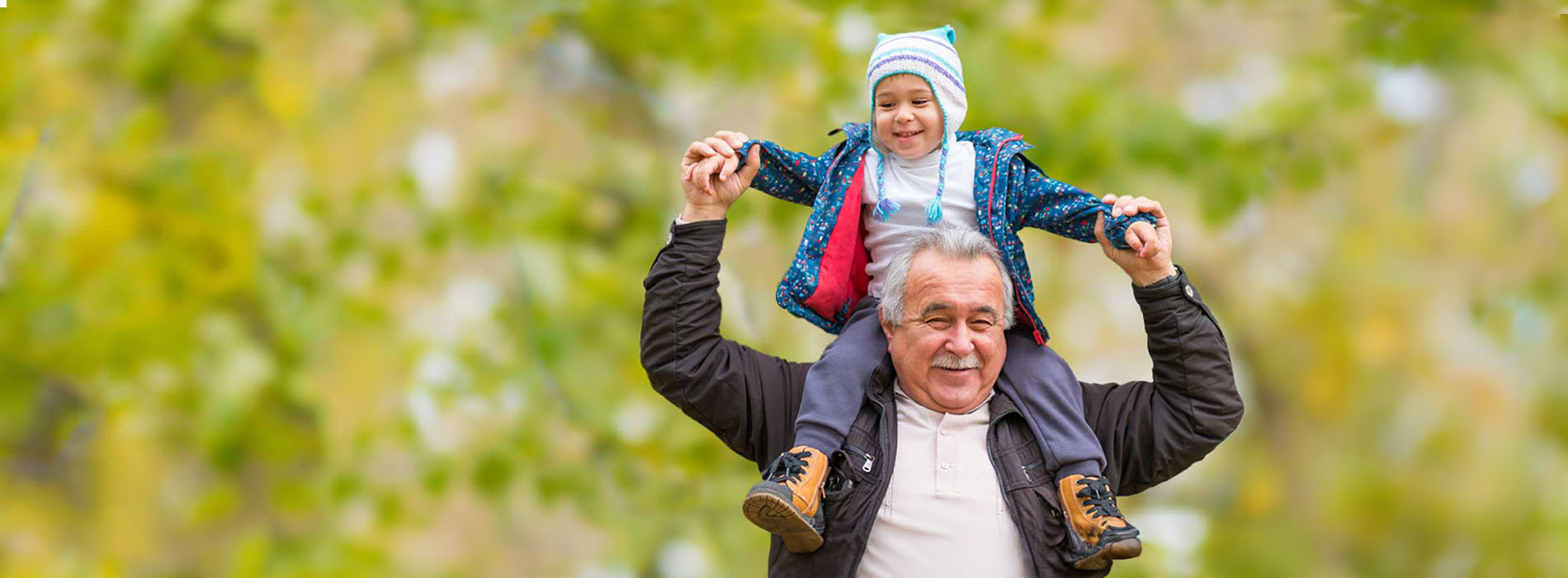 A grandfather holder his toddler grandson on his shoulders while smiling