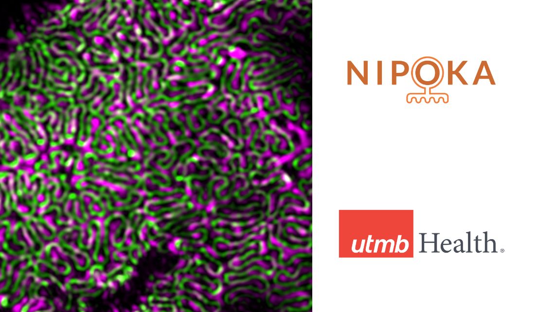 Nipoka, utmb Health